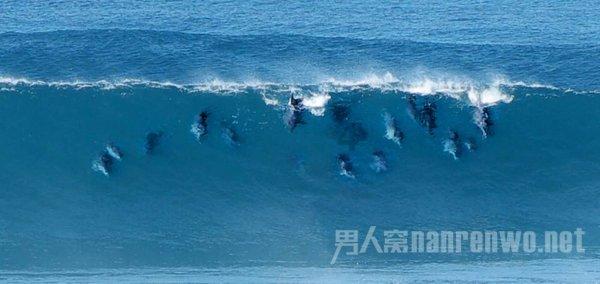 蝙蝠侠：阿甘骑士